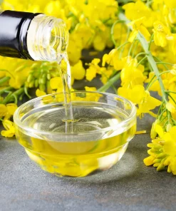 Canola Oil for Sale